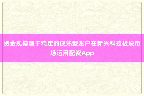 资金规模趋于稳定的成熟型账户在新兴科技板块市场运用配资App