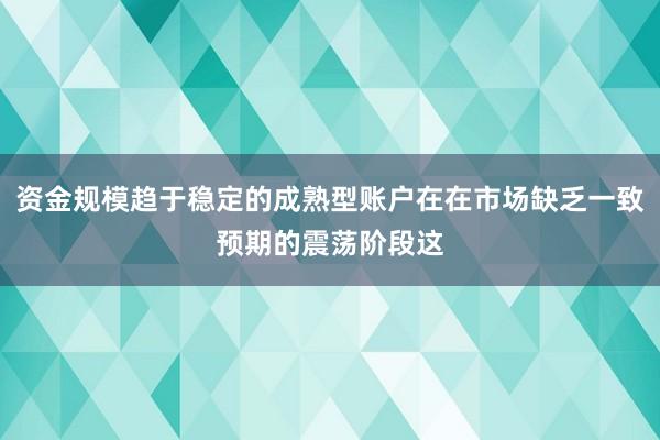 资金规模趋于稳定的成熟型账户在在市场缺乏一致预期的震荡阶段这