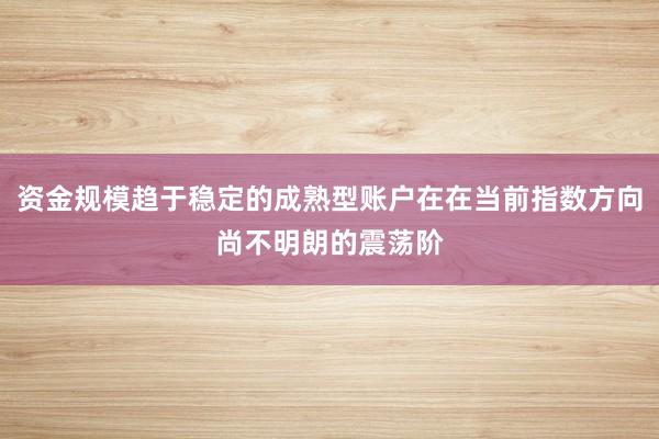 资金规模趋于稳定的成熟型账户在在当前指数方向尚不明朗的震荡阶