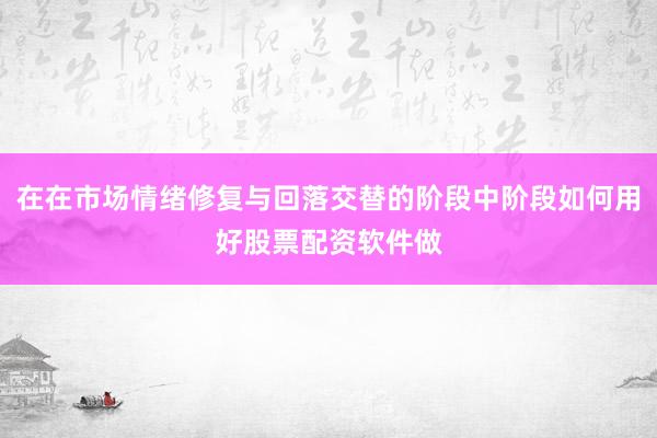 在在市场情绪修复与回落交替的阶段中阶段如何用好股票配资软件做