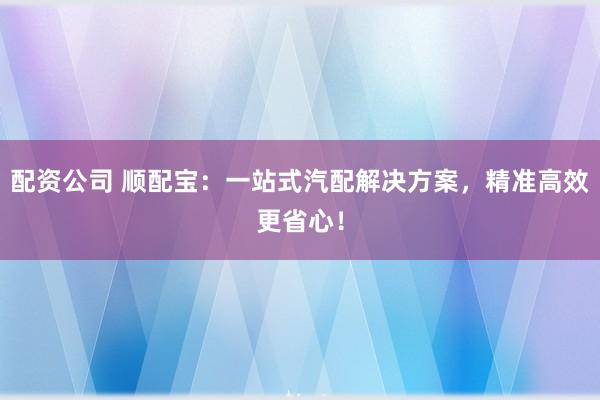 配资公司 顺配宝：一站式汽配解决方案，精准高效更省心！