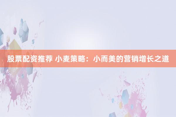 股票配资推荐 小麦策略：小而美的营销增长之道