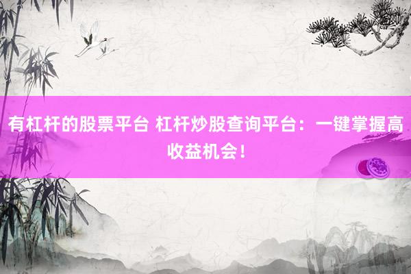 有杠杆的股票平台 杠杆炒股查询平台:一键掌握高收益机会!