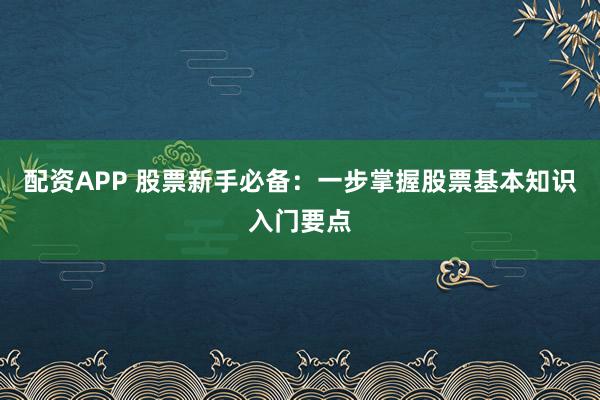 配资APP 股票新手必备：一步掌握股票基本知识入门要点