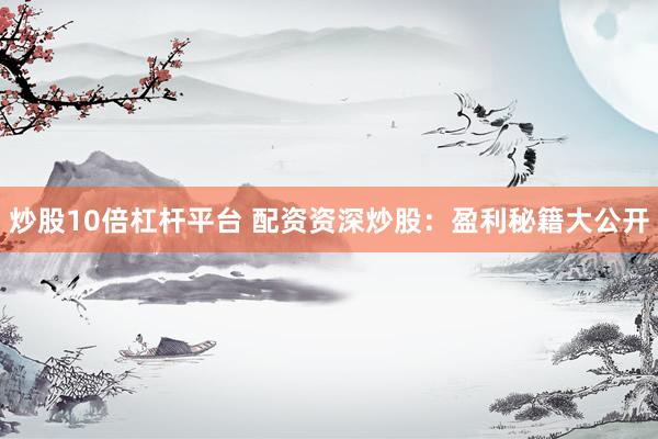 炒股10倍杠杆平台 配资资深炒股：盈利秘籍大公开