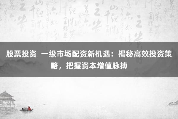 股票投资  一级市场配资新机遇：揭秘高效投资策略，把握资本增值脉搏