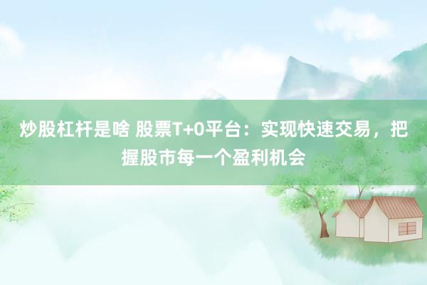 炒股杠杆是啥 股票T+0平台：实现快速交易，把握股市每一个盈利机会